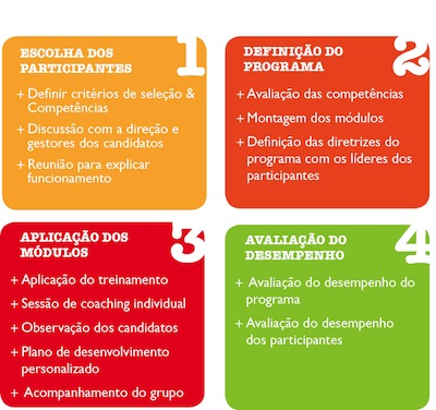 programa-formacao-novos-lideres-talentos-etapas programa-formacao-novos-lideres-talentos-etapas